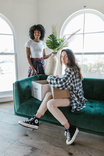Two women engaged in a home relocation process inside a well-lit living room with large, arched windows. One woman, standing, has curly black hair and is smiling while holding a decorative plant with 